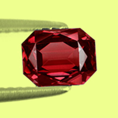 CCGNT031Extra 2a.jpg